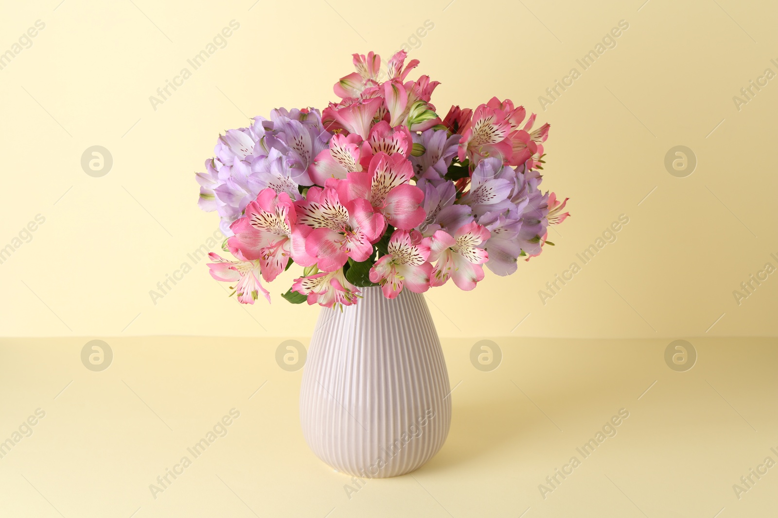 Photo of Beautiful alstroemeria flowers in vase on beige background