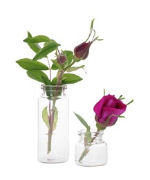 Photo of Beautiful roses in glass bottles isolated on white