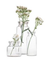 Yarrow flowers in glass bottles isolated on white