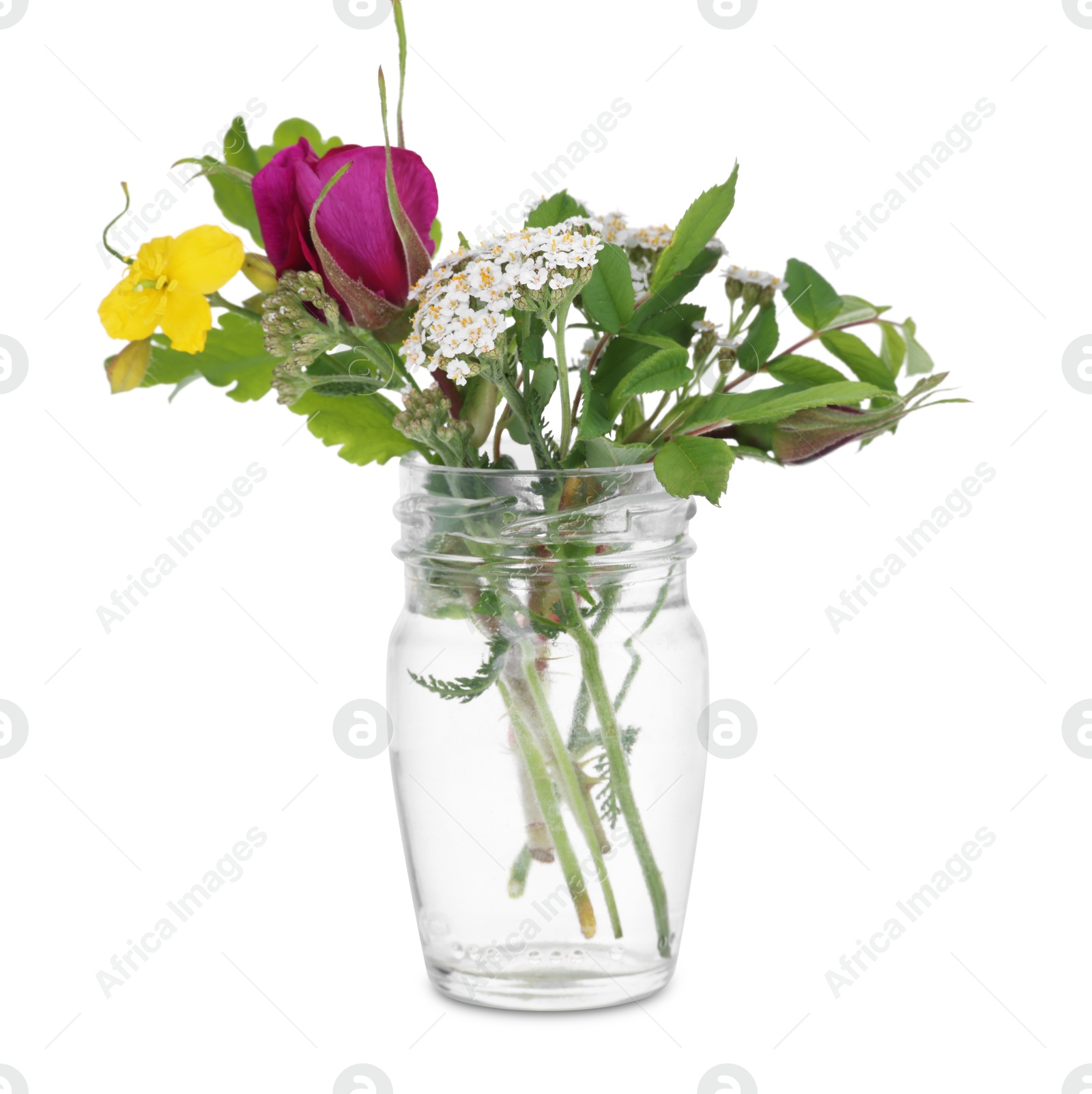 Photo of Different flowers in glass vase isolated on white
