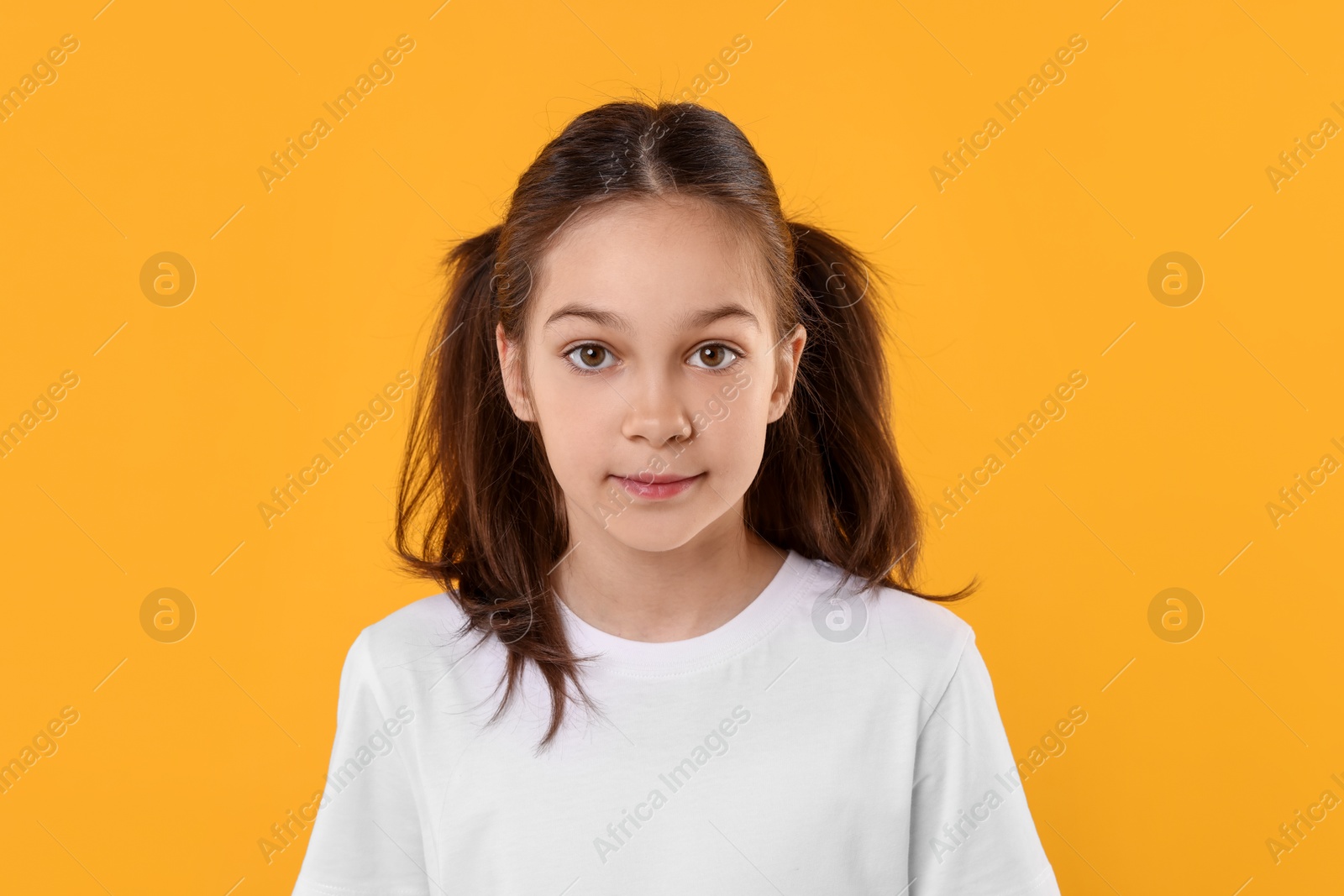 Photo of Portrait of beautiful girl on orange background