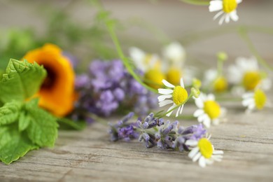 Photo of Beautiful chamomile flowers, lavender, mint and calendula on wooden table, closeup