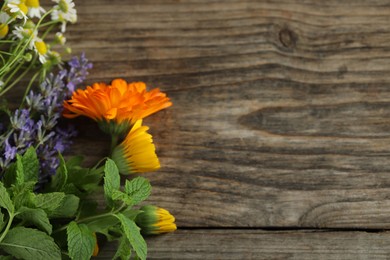 Photo of Beautiful calendula flowers, lavender, mint and chamomiles on wooden table, space for text
