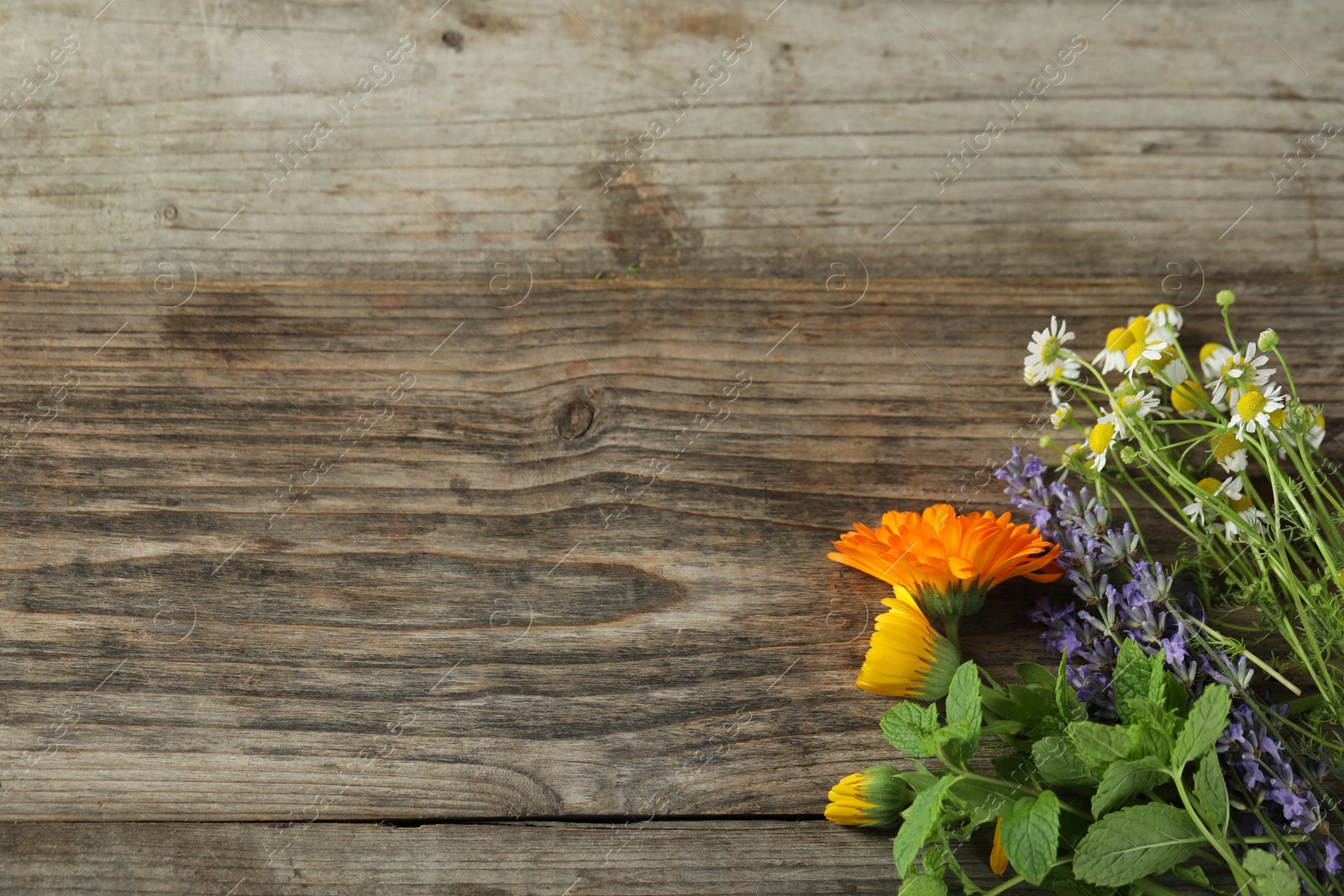 Photo of Beautiful calendula flowers, lavender, mint and chamomiles on wooden table, space for text