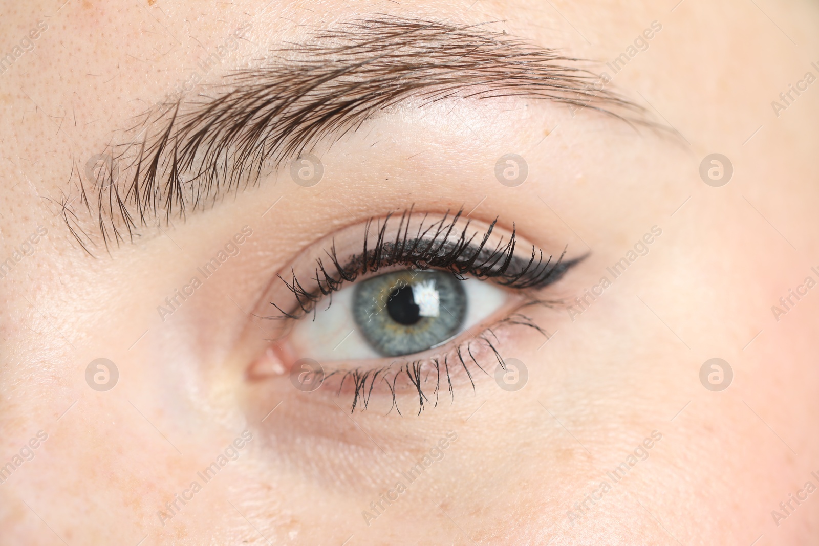 Photo of Young woman before eyebrow correction procedure, closeup