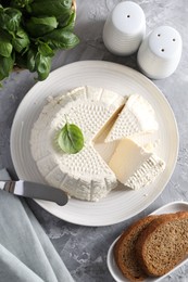 Tasty ricotta (cream cheese), bread, basil and knife on grey table, flat lay