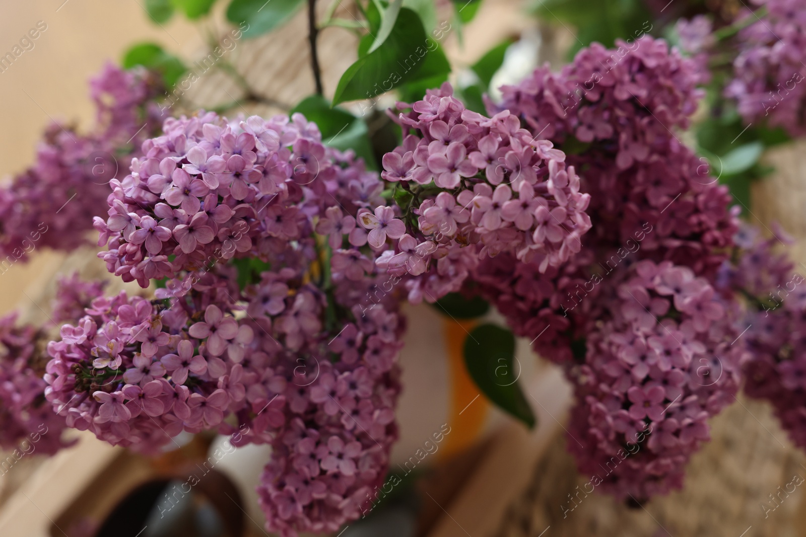 Photo of Beautiful lilac flowers in vase on table indoors, closeup