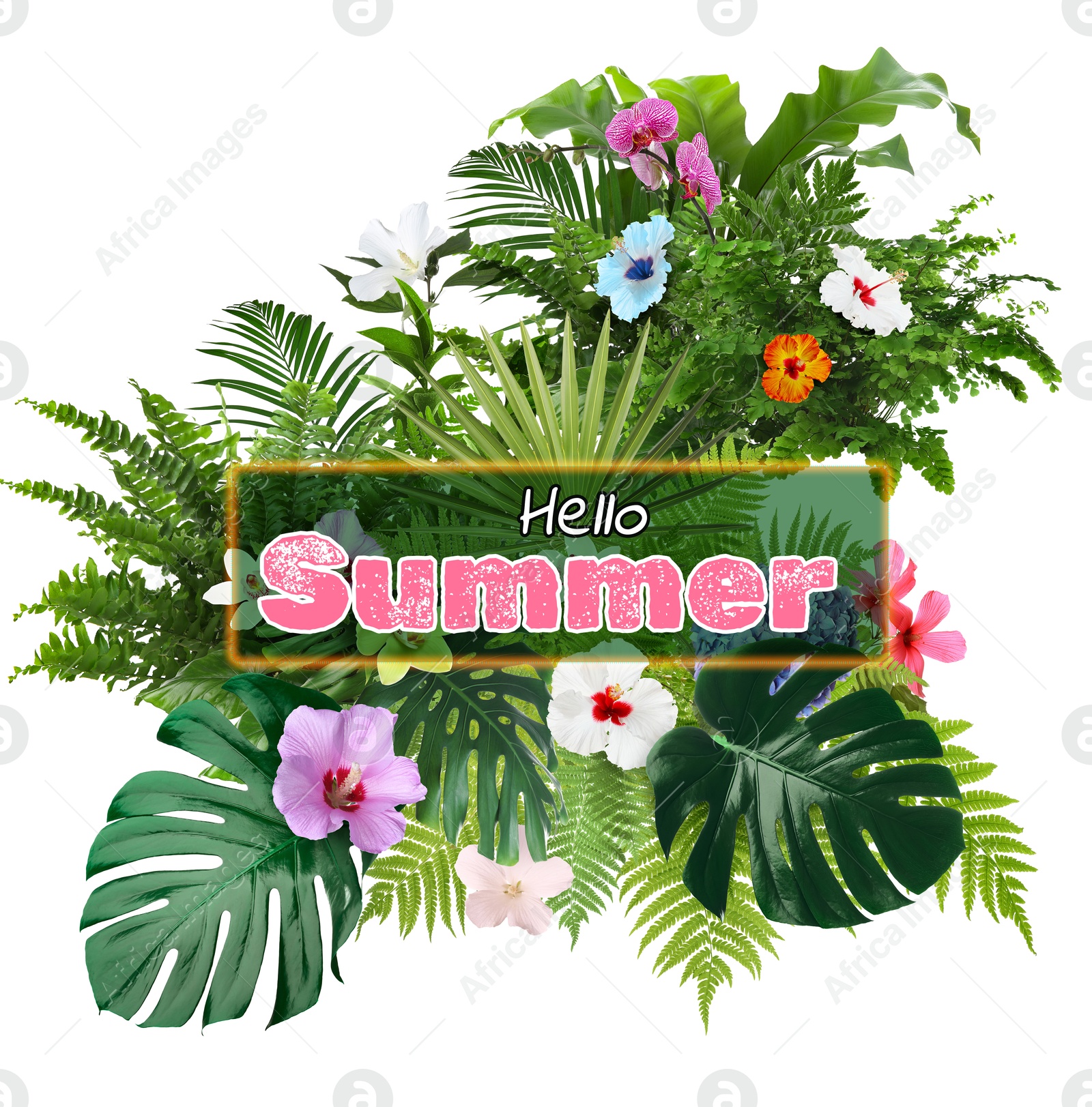 Image of Hello Summer text and composition of tropical plants on white background