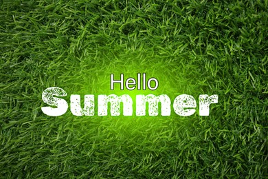 Hello Summer text and vibrant green grass on background, top view