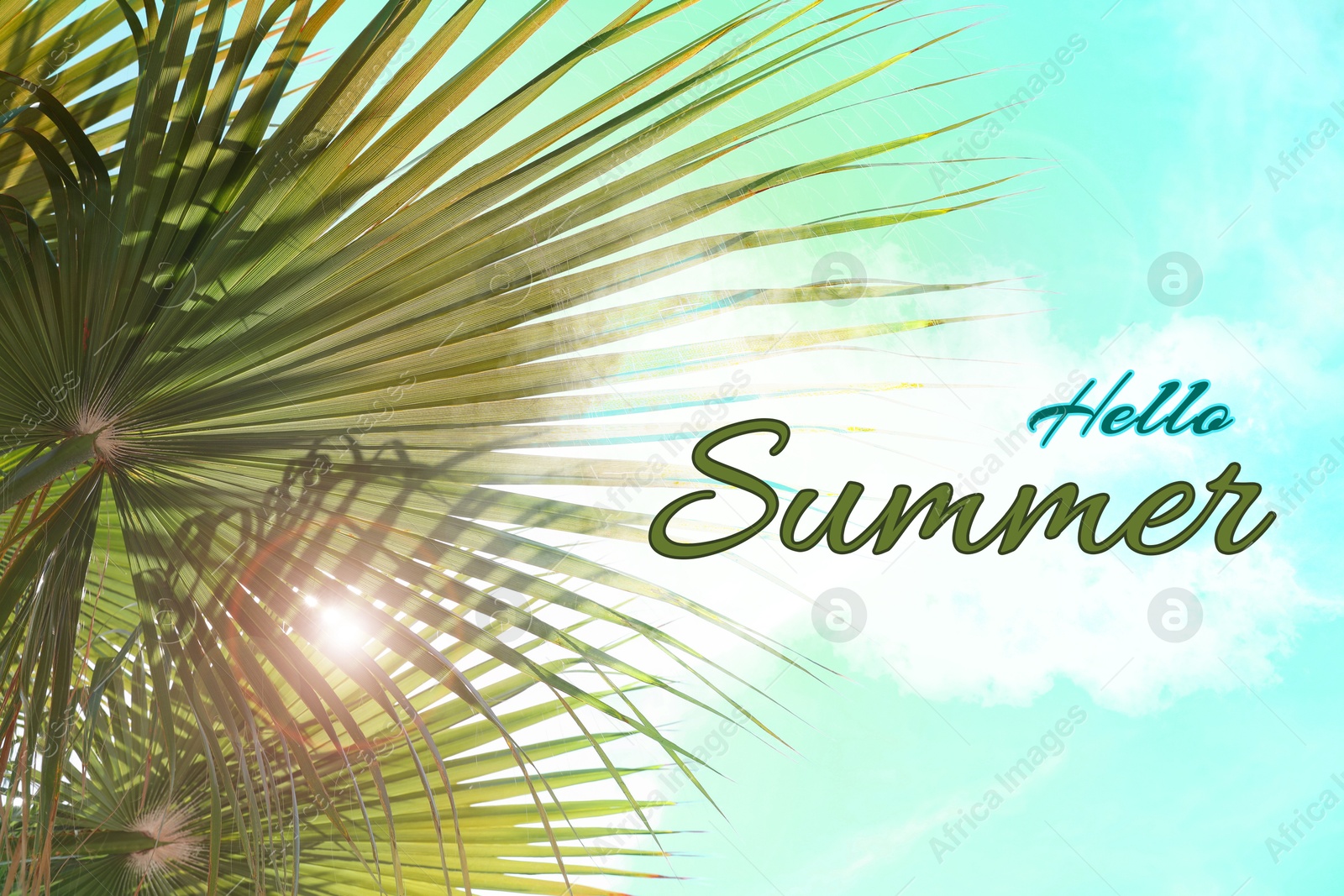 Image of Hello Summer text against palms and bright sky on sunny day