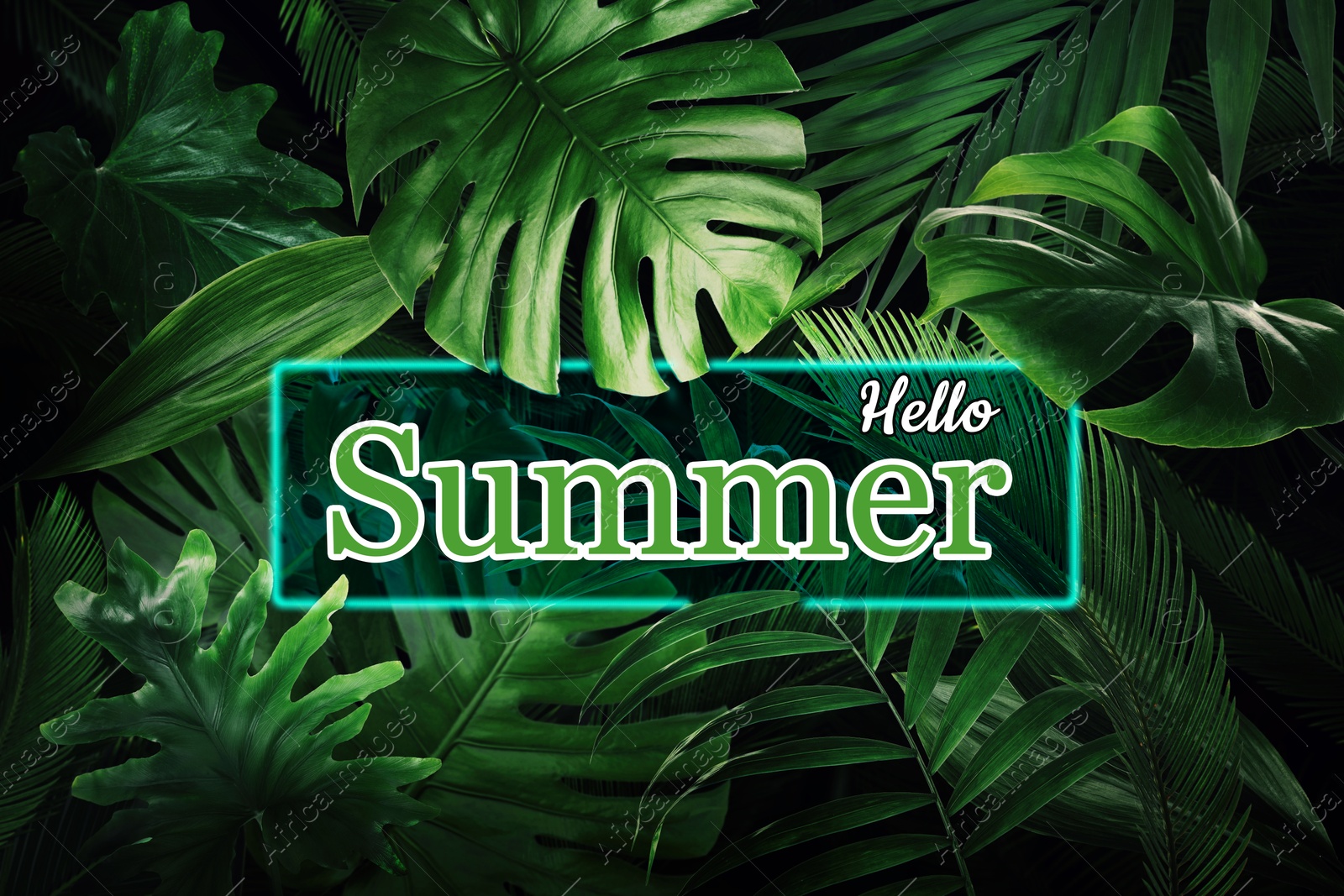 Image of Hello Summer neon sign and lush tropical leaves