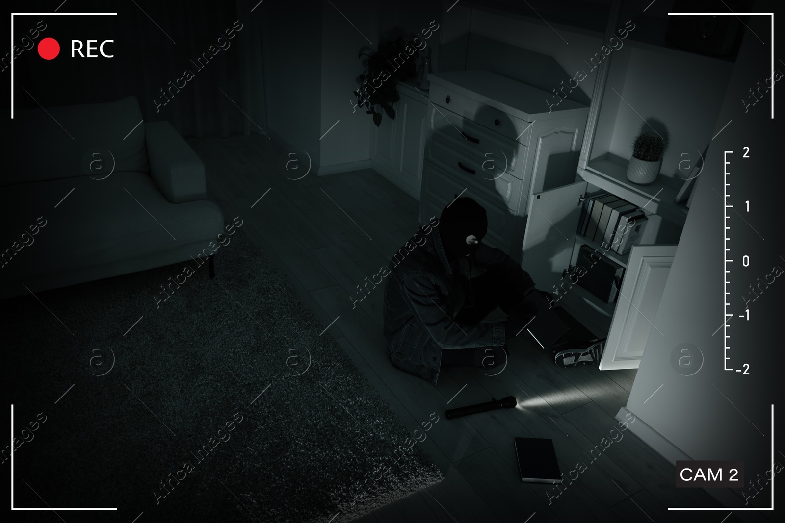 Image of Thief robbing house, view through surveillance camera