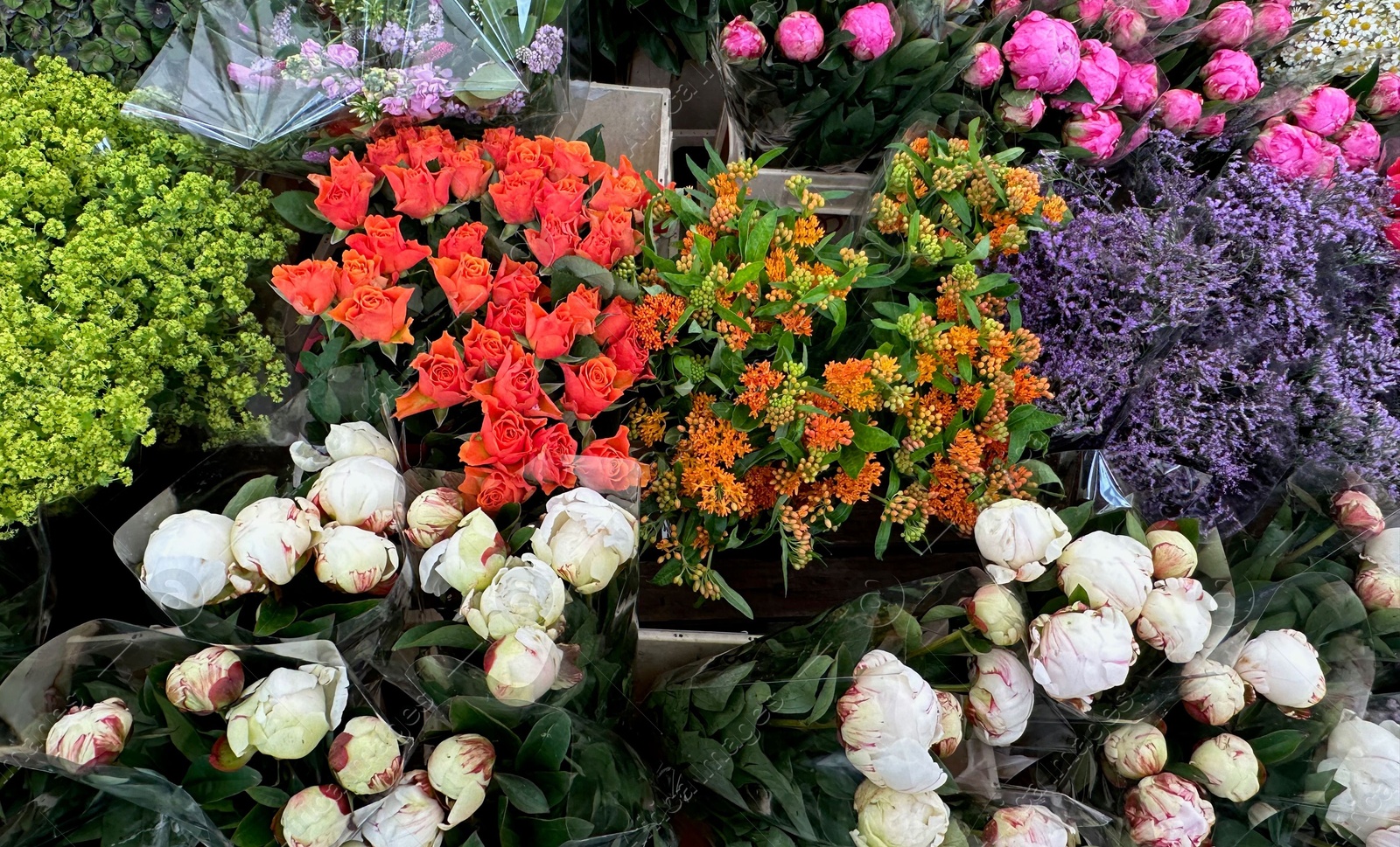 Photo of Assortment of beautiful flowers in floral shop