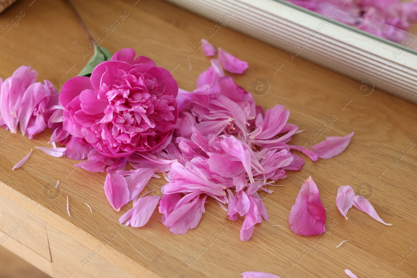 Photo of Beautiful pink peony and petals on wooden table indoors, closeup