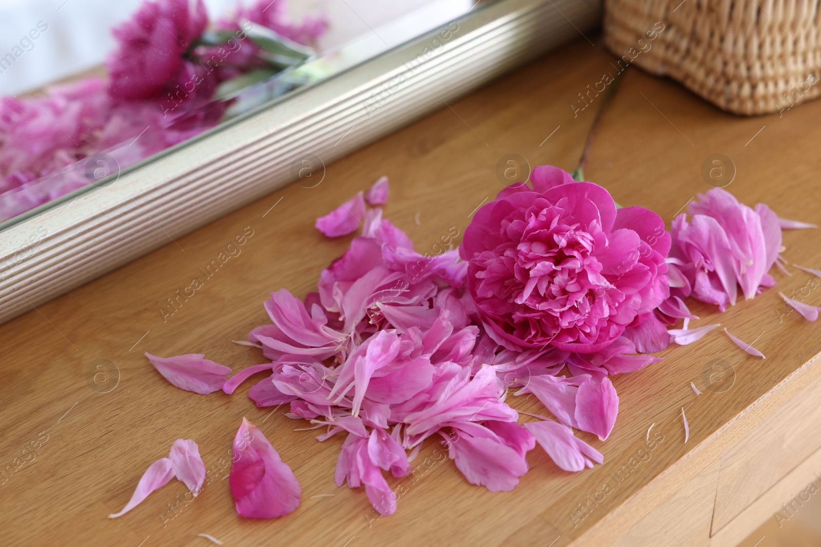 Photo of Beautiful pink peony and petals on wooden table indoors, closeup