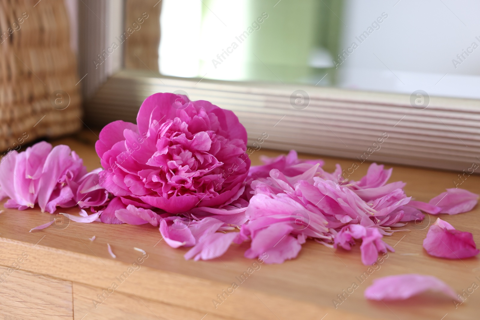 Photo of Beautiful pink peony and petals on wooden table indoors, closeup