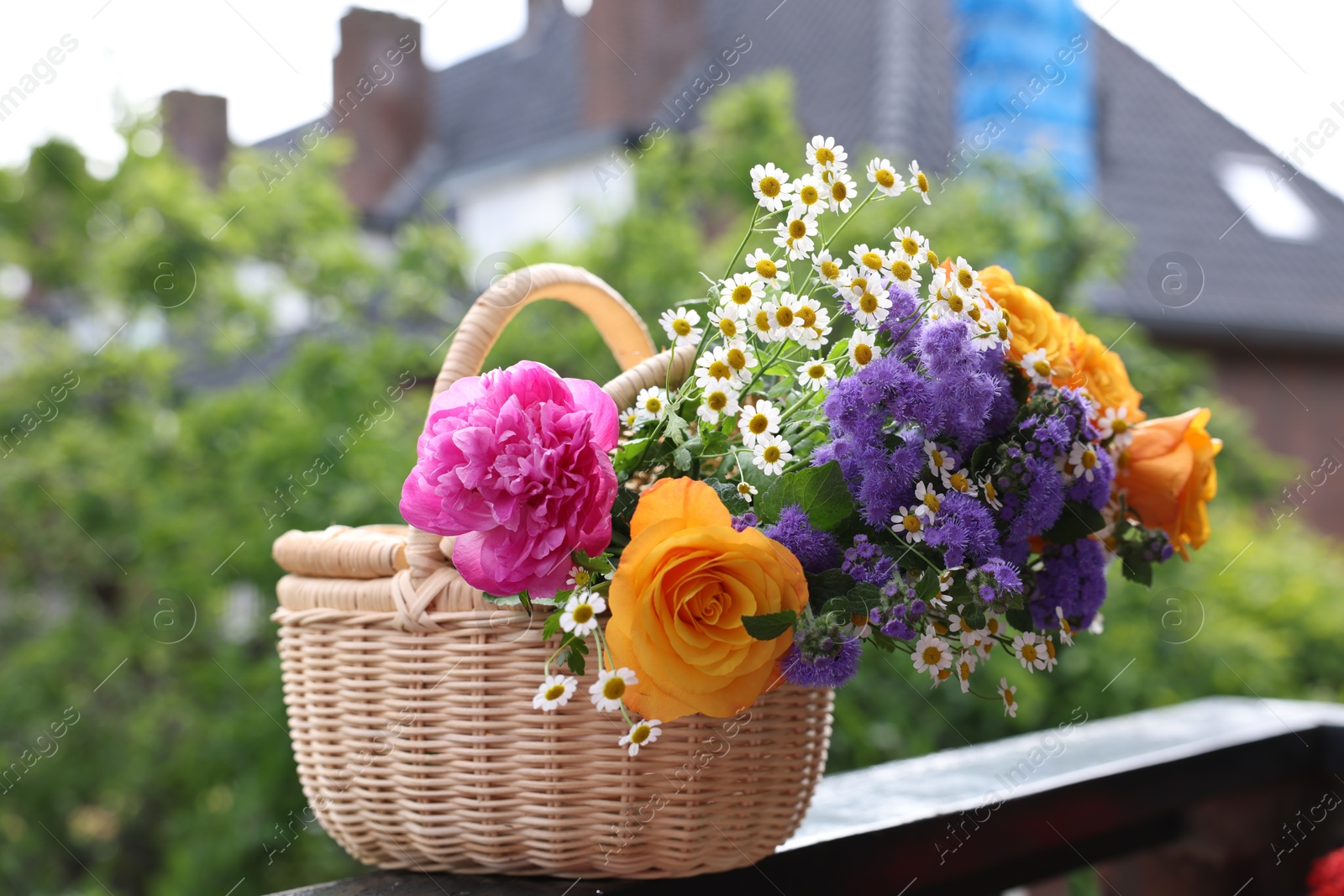 Photo of Wicker basket with beautiful aromatic flowers on balcony railing outdoors