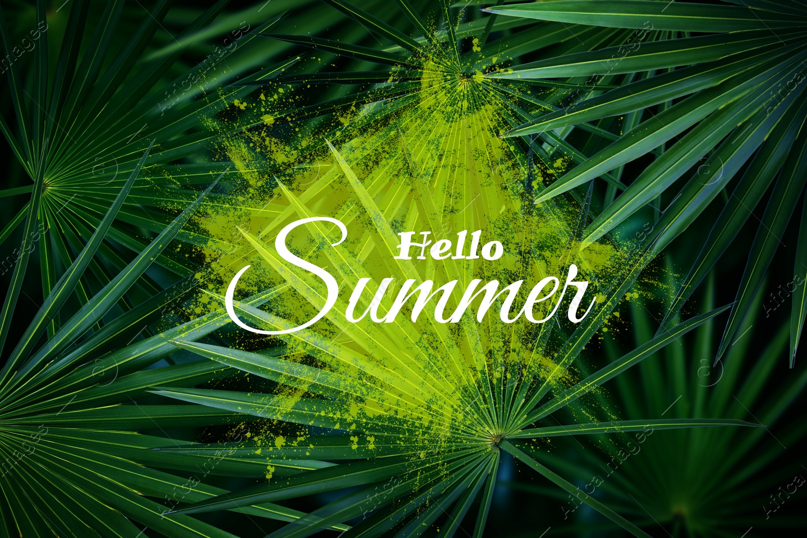 Image of Hello Summer text and lush tropical leaves on background