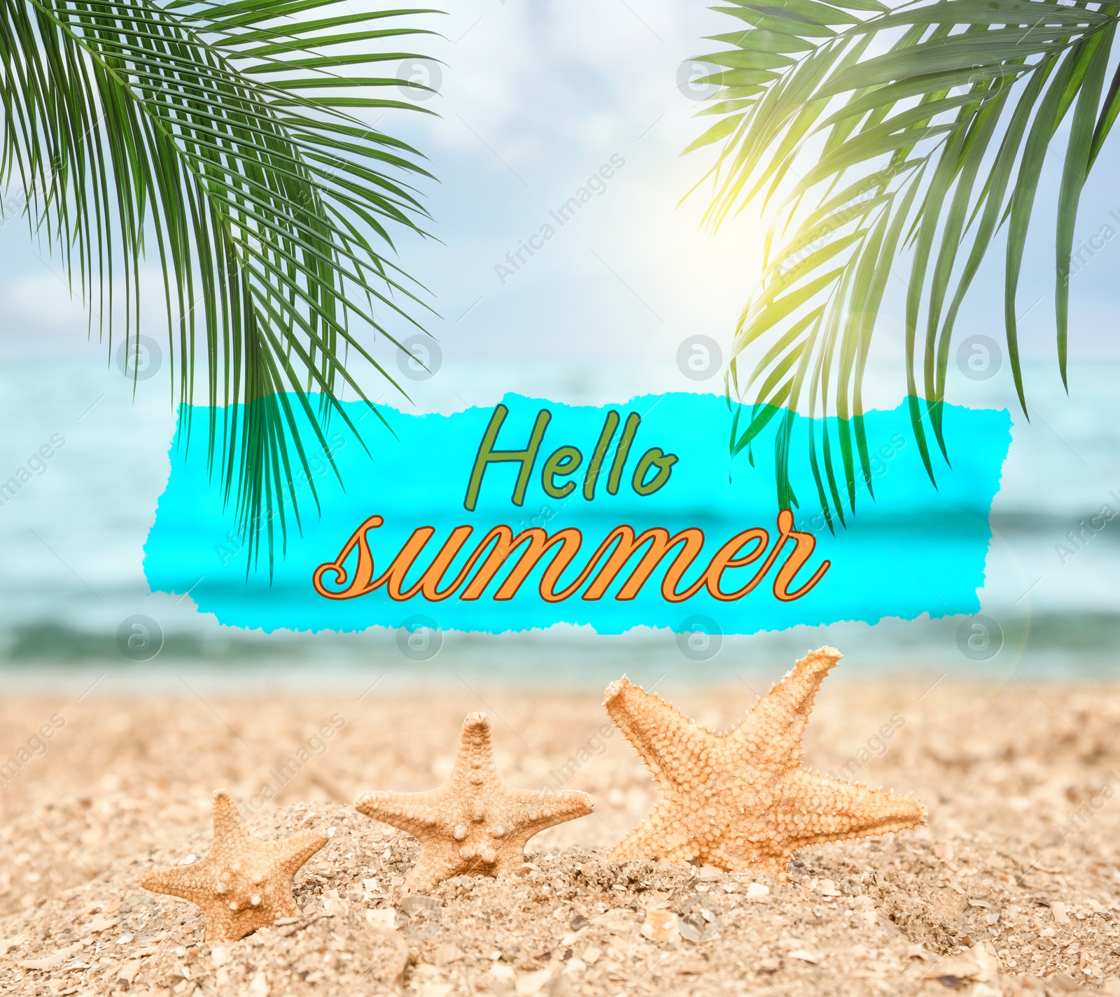 Image of Hello Summer text and sandy beach with sea stars