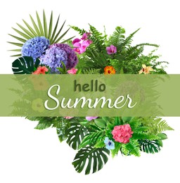Image of Hello Summer text and composition of tropical plants on white background