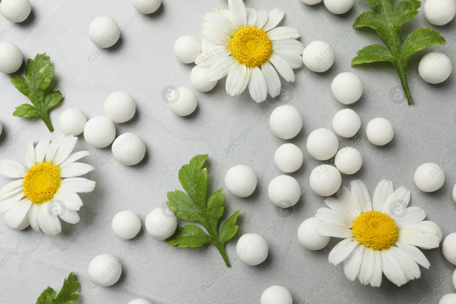 Photo of Homeopathic remedy. Chamomile flowers, pills and green leaves on grey table, flat lay