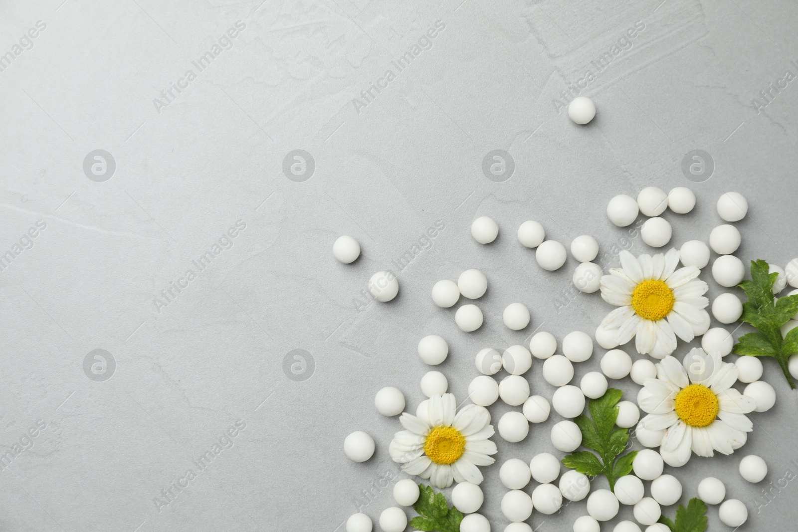 Photo of Homeopathic remedy. Chamomile flowers, pills and green leaves on grey table, flat lay. Space for text