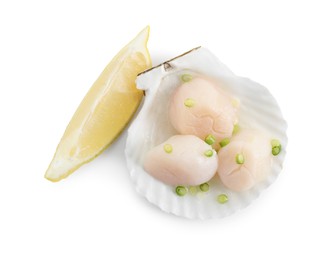 Raw scallops with green onion, shell and lemon slice isolated on white, top view