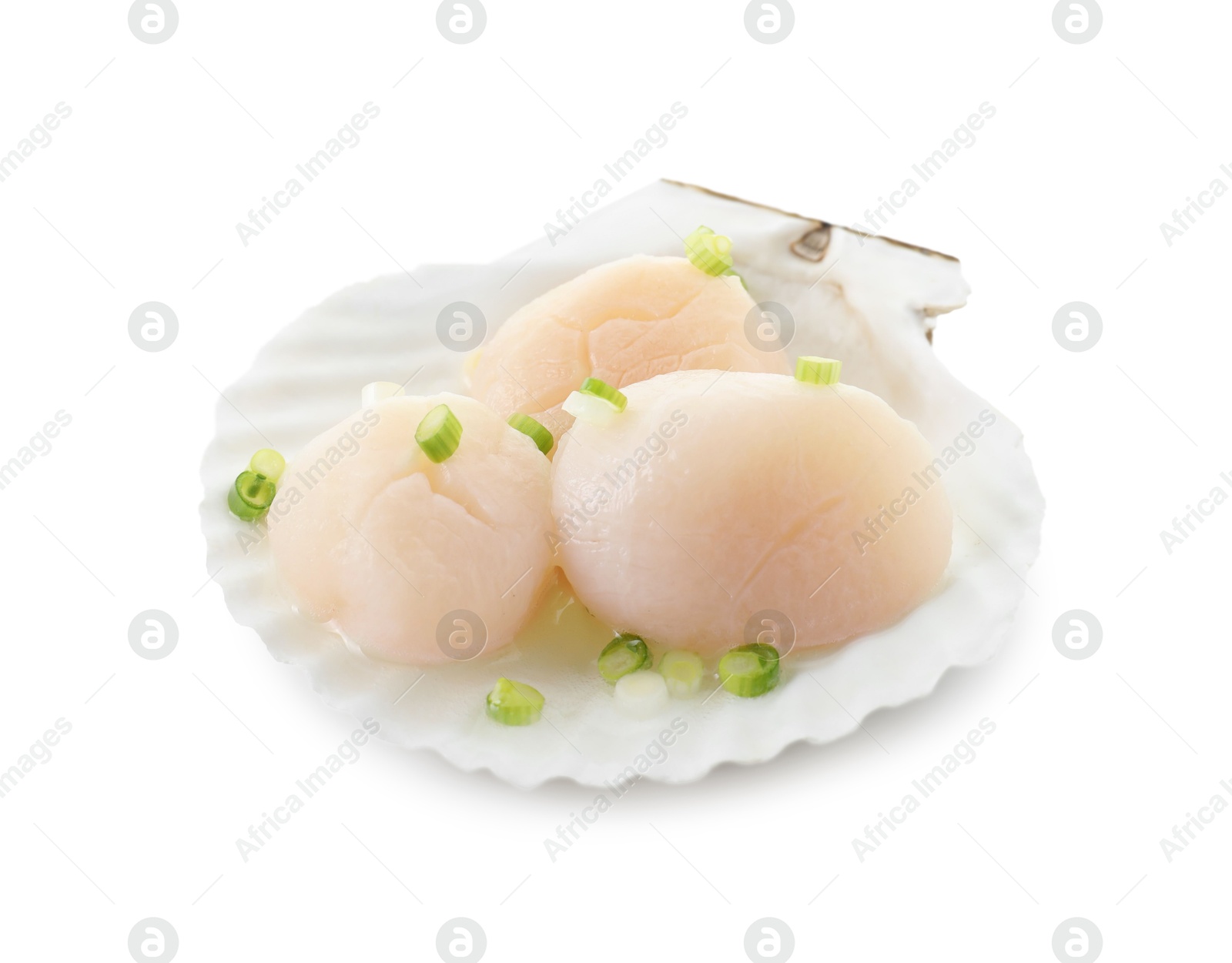 Photo of Raw scallops with green onion and shell isolated on white