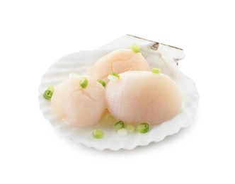 Raw scallops with green onion and shell isolated on white