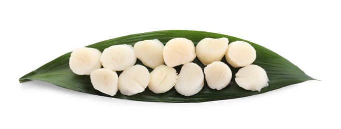 Fresh raw scallops and green leaf isolated on white, top view