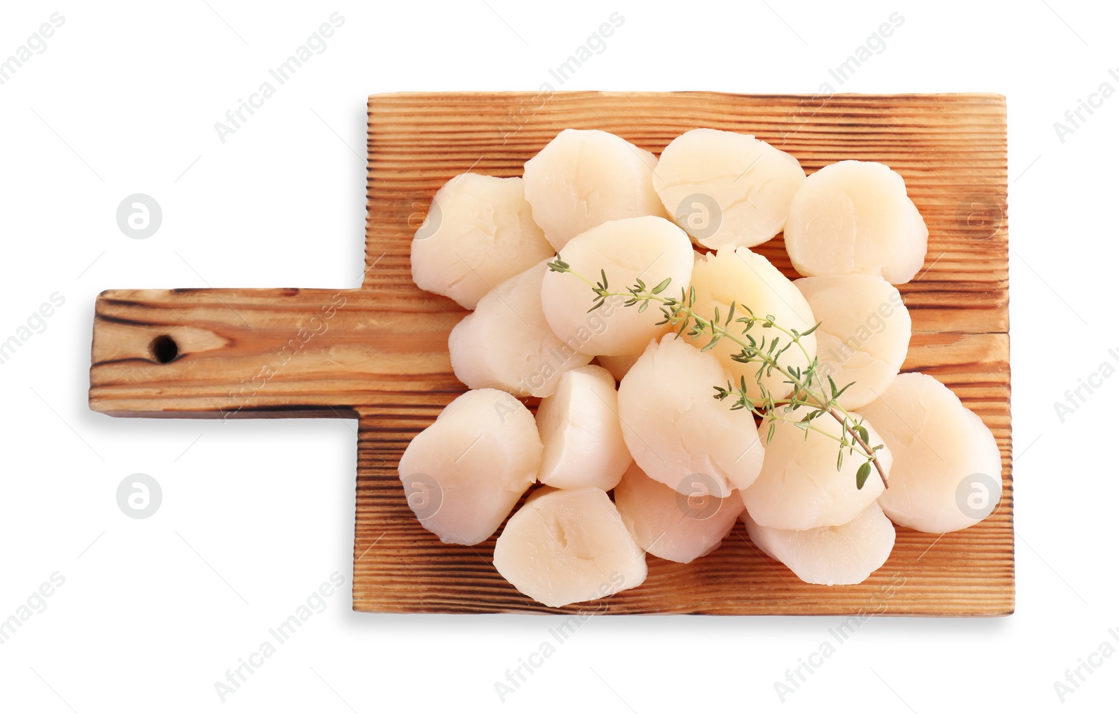 Photo of Fresh raw scallops and thyme isolated on white, top view