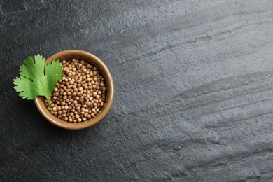 Fresh green coriander leaf and dried seeds on black textured table, top view. Space for text