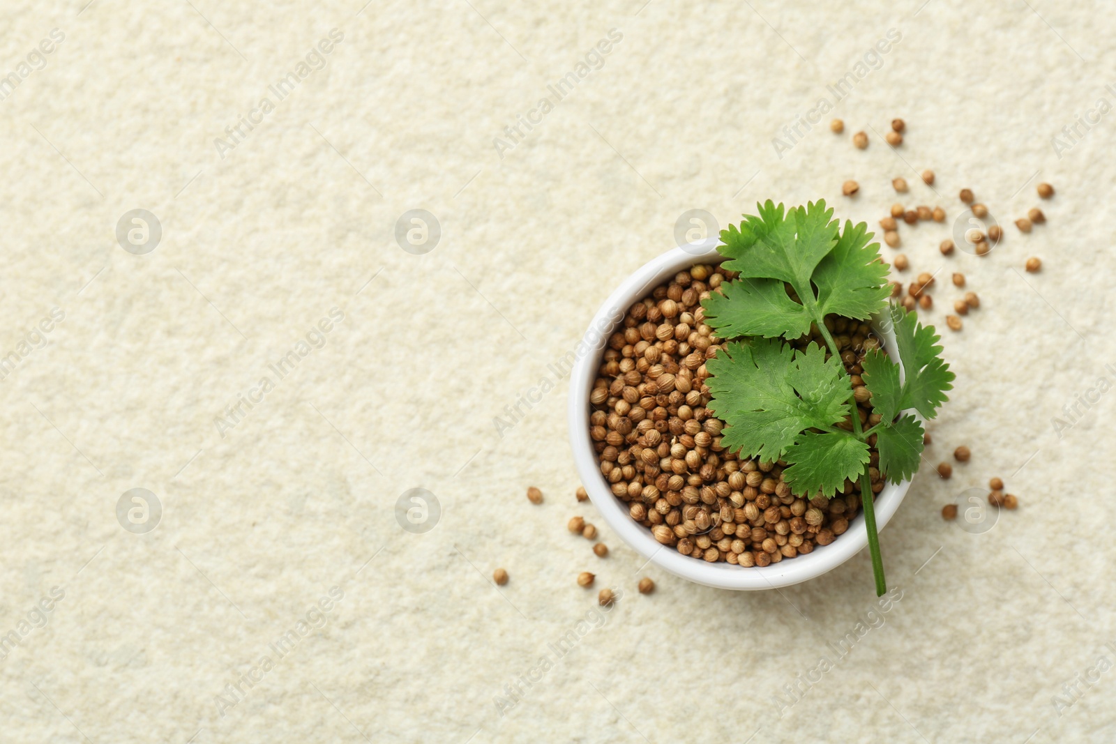 Photo of Fresh coriander leaves and dried seeds on light textured table, flat lay. Space for text