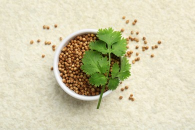 Fresh coriander leaves and dried seeds on light textured table, flat lay