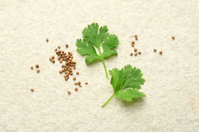 Fresh coriander leaves and dried seeds on light textured table, flat lay