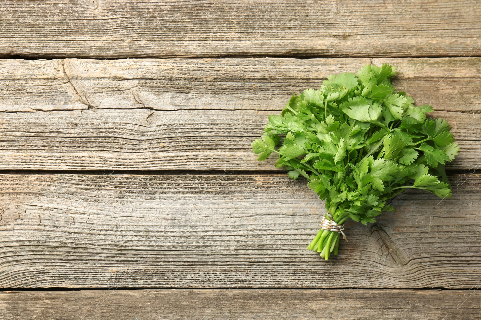 Photo of Bunch of fresh coriander on wooden table, top view. Space for text