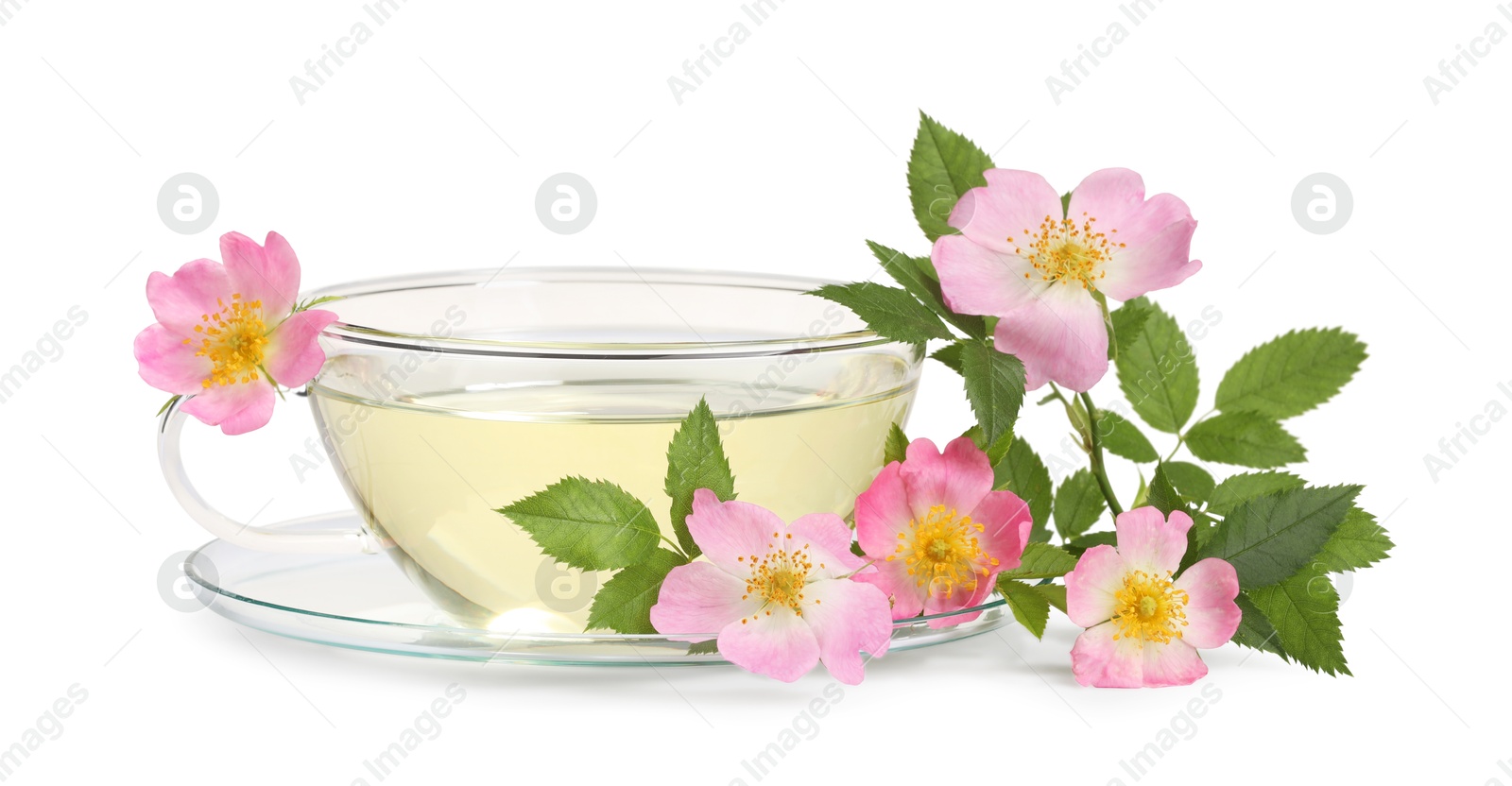 Photo of Aromatic herbal tea in glass cup with rose hip flowers isolated on white