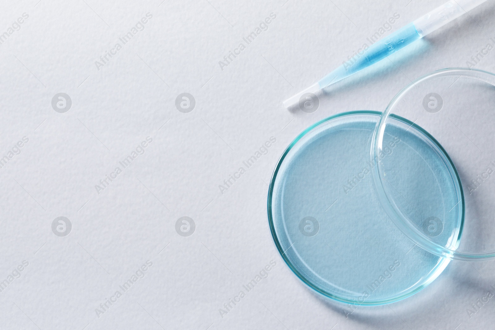 Photo of Transfer pipette and petri dish on white background, top view. Space for text