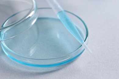 Photo of Transfer pipette and petri dish on white background, closeup