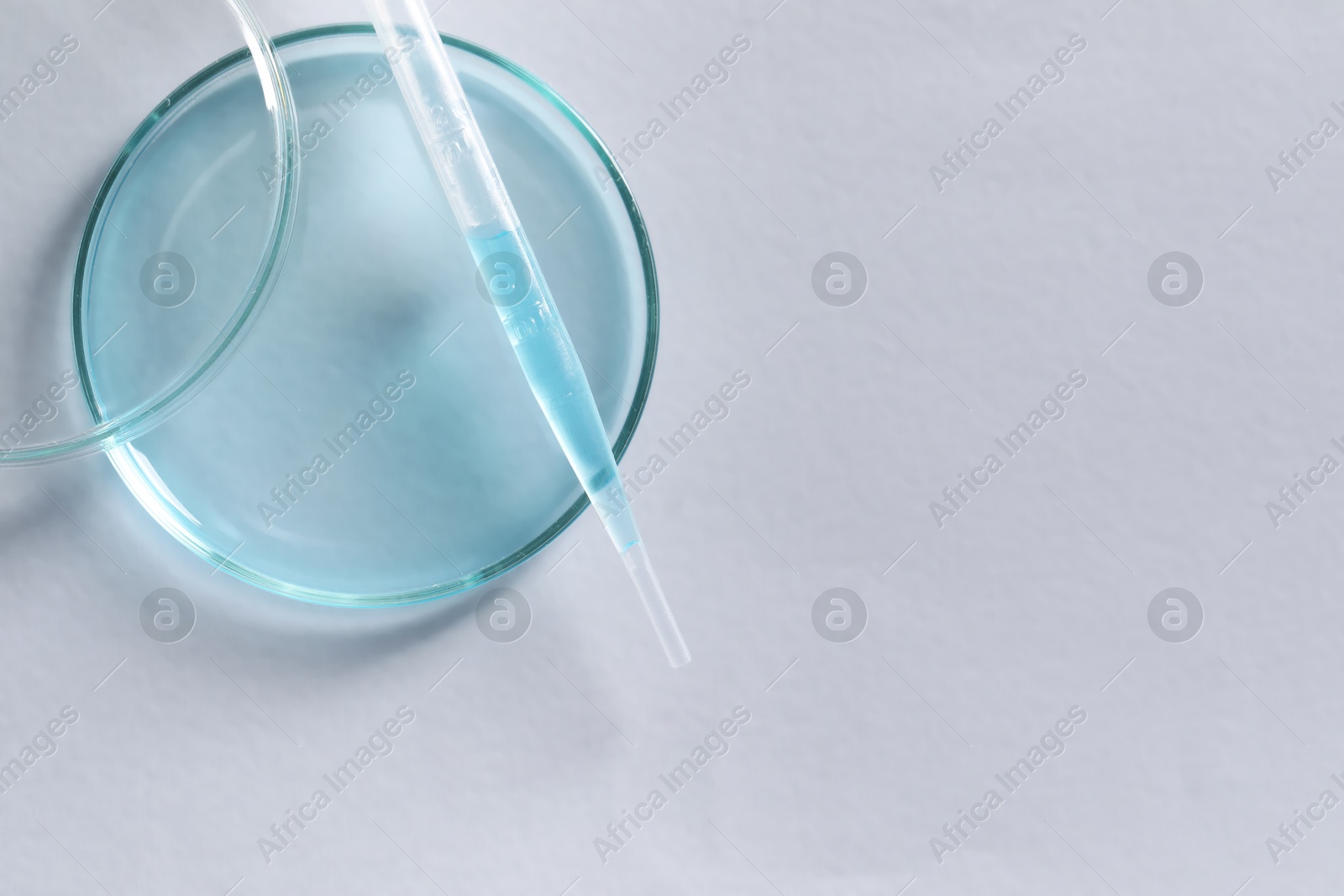 Photo of Transfer pipette and petri dish on white background, top view. Space for text