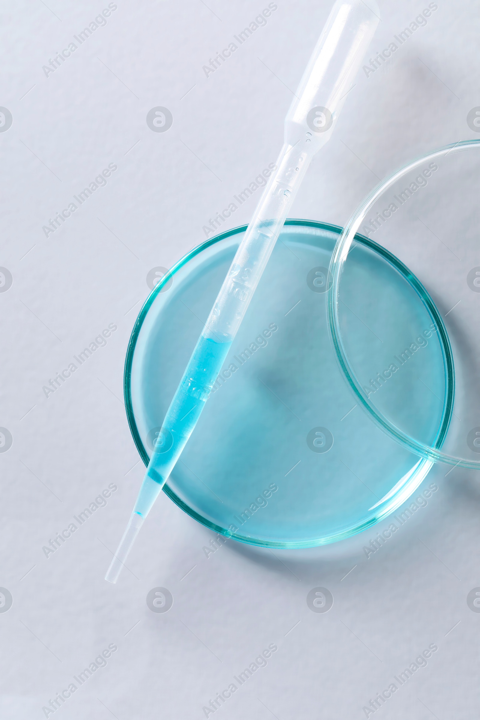 Photo of Transfer pipette and petri dish on white background, top view