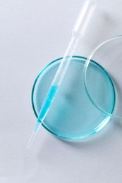 Photo of Transfer pipette and petri dish on white background, top view
