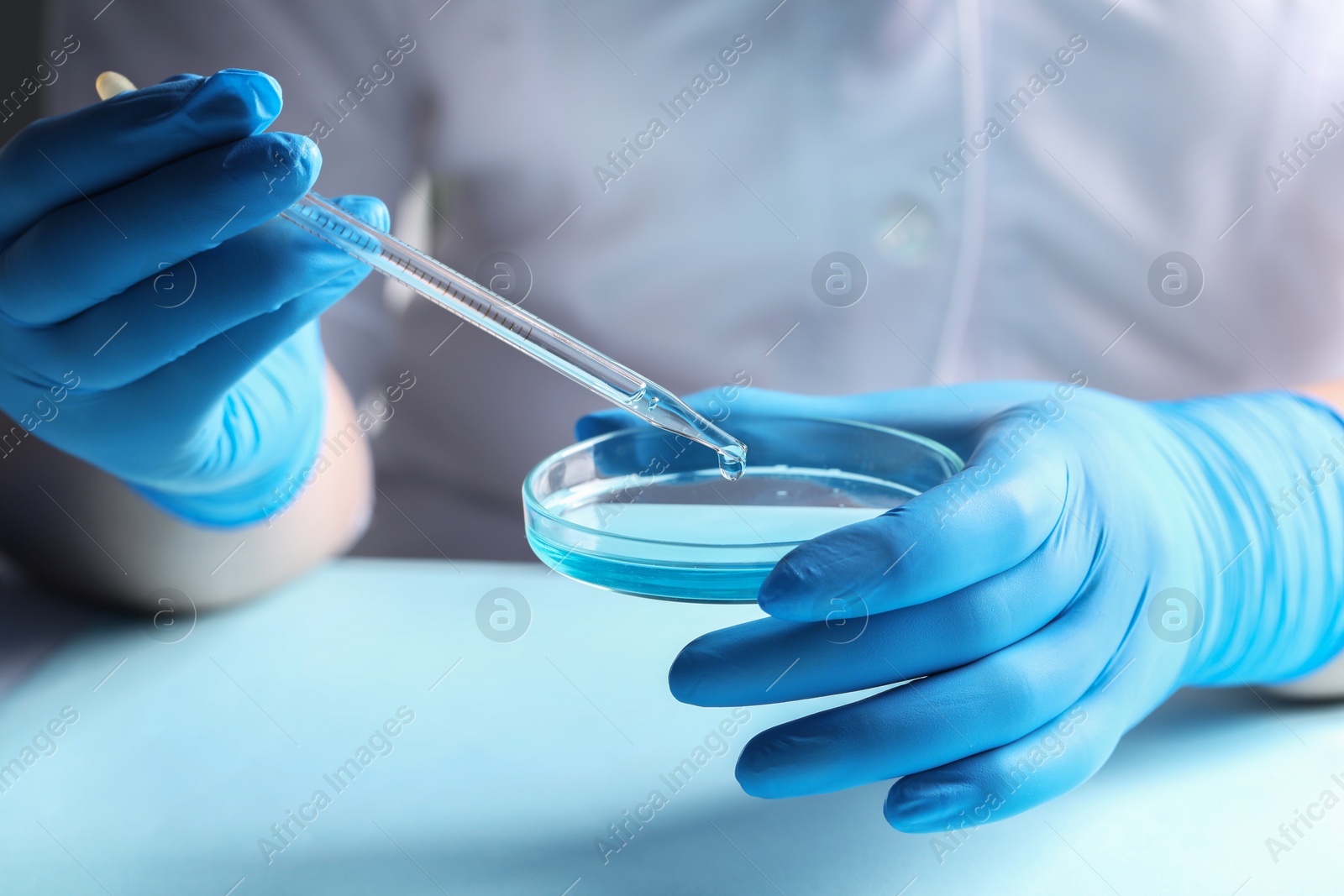 Photo of Doctor dripping liquid from pipette into petri dish at light table, closeup. Laboratory analysis