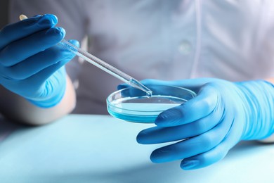 Doctor dripping liquid from pipette into petri dish at light table, closeup. Laboratory analysis