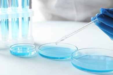 Photo of Doctor dripping liquid from pipette into petri dish at light table, closeup. Laboratory analysis