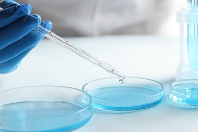 Doctor dripping liquid from pipette into petri dish at light table, closeup. Laboratory analysis