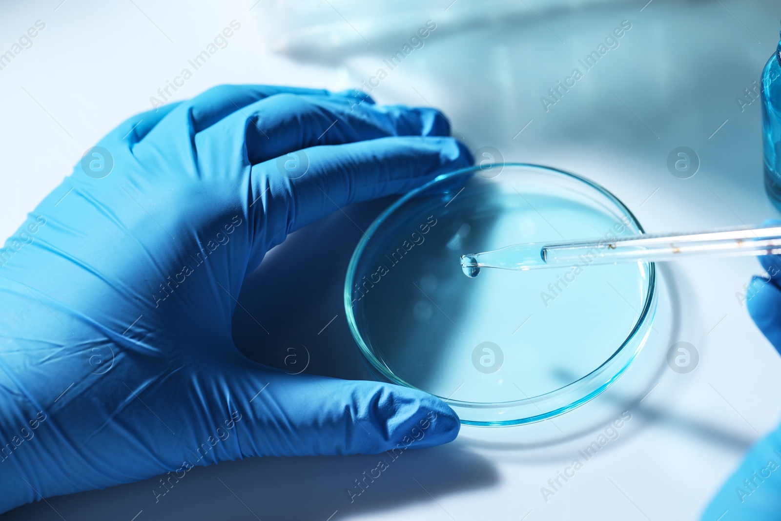 Photo of Scientist dripping liquid from pipette into petri dish at white table, closeup