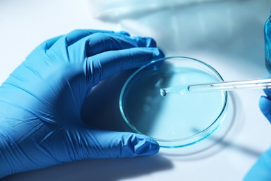 Photo of Scientist dripping liquid from pipette into petri dish at white table, closeup