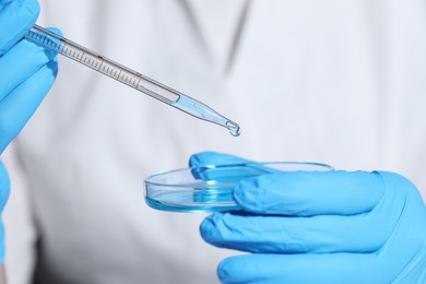 Photo of Scientist dripping liquid from pipette into petri dish, closeup