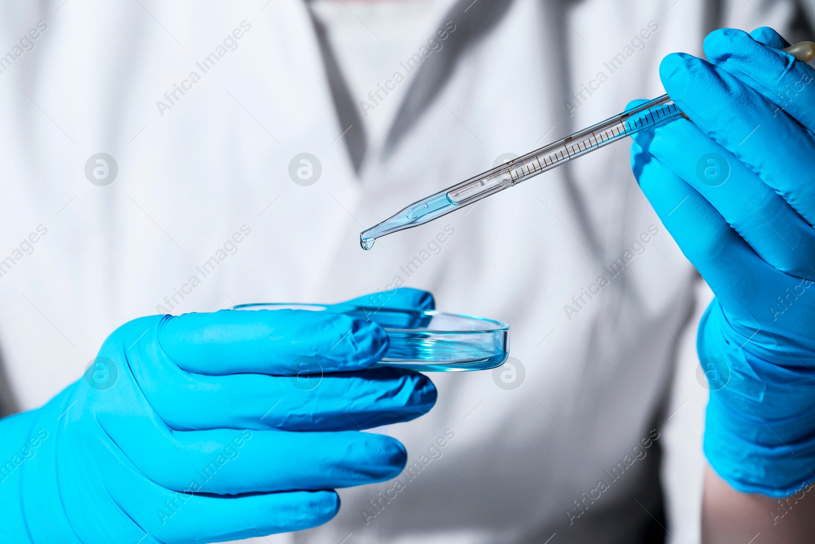 Photo of Scientist dripping liquid from pipette into petri dish, closeup